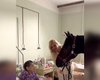"Какое чудо": певица Камалия привела в киевскую больницу лошадь (видео)