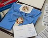 У Навроцького повідомили, що отримали Орден Білого Орла від Зеленського: що з ним зроблять