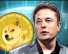 Новый твит Маска привел к резкому подорожанию Dogecoin