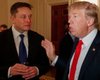 "Разморозка отношений": Трамп и Маск обсудили сотрудничество на президентских выборах