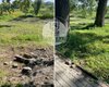 На Волыни в парке разобрали брусчатку, чтобы сделать из нее мангал (фото)