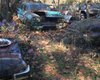 В США обнаружили огромное кладбище ретро-авто: там 4 тысячи машин (фото)