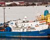 У украинских геологов закончились деньги на бурение в Черном море