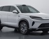 BYD выведет на мировой рынок мощный электрифицированный кроссовер для семьи (фото)