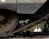 Израиль готовил вторжение в Газу полтора года