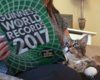 Составители книги рекордов Гиннесса назвали самую длинную кошку