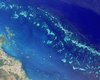 Крупнейший на Земле коралловый шельф погибнет через 30 лет, - ученые