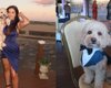 Пушистый джентльмен: девушка привела пса в качестве спутника на свадьбу (фото)