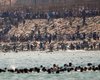 Тысячи мигрантов в Сеуте: Италия может приостановить действие Шенгена с Испанией