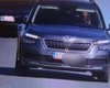 Плохой мальчик: в Словакии собака за рулем кроссовера Skoda превысила скорость (фото)
