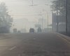 В Киеве горят сады, в воздухе - смог и едкий дым
