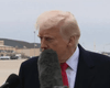 На глазах у всех: Дональд Трамп получил удар по лицу микрофоном (видео)