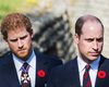Разлад между братьями: принцы Гарри и Уильям до сих пор не общаются из-за "Мегзита"