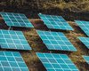"Вечные" солнечные панели: работают тысячи часов и не теряют эффективность (фото)