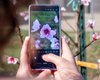 Знімаємо весну у всій красі: як зробити приємні фото квітів на смартфон, найкращі налаштування та поради