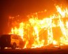 Большинство сгоревших в Калифорнии были из Малибу и Парадайса