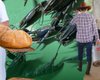 Молочные рекорды и креветочные фермы: как громады формируют новую экономику Украины