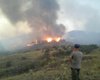 Горят заповедные леса возле Ялты в оккупированном Крыму