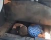 "Екстремали" за $4,5 тисячі: ДПСУ зупинили втікачів від ТЦК, які ховались під дном авто (відео)