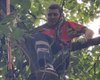Сбежал во время прогулки: в Киеве сняли с дерева императорского удава (видео)