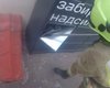 Спасатели взломали почтомат в Ровно, чтобы достать оттуда девушку (видео)