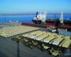 Оператор из Катара получил на 35 лет порт "Ольвия" в концессию