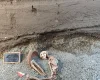Вчені використали ШІ для відтворення обличчя жертви Везувія: не всі цим задоволені (фото)