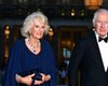 "Кто бы мог поверить": королева Камилла раскрыла секрет их с Чарльзом брака (фото)