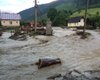 На Закарпатье селевой поток с гор затопил села