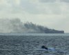 Один возил нефть в обход санкций: у берегов Сингапура столкнулись и загорелись два танкера