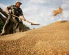 Россия не сможет заместить Украину на рынке зерна, - министр РФ