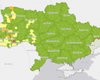 "Карантинний сепаратизм". Які би графіки не малювали у Києві, на місцях бачення ситуації буде іншим