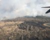 В Чернобыльской зоне горит лес, пожар тушат с помощью авиации
