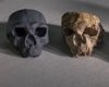 Тайна черепа Юньсянь 2: происхождение Homo sapiens снова под вопросом