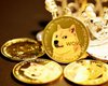 Не до смеха: почему выросла цена Dogecoin и Shiba Inu, и стоит ли в них инвестировать