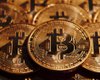 Эксперты Profinvestment рассказали, как выбрать лучшую криптобиржу