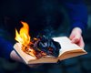Оцифровать и ликвидировать: ИИ-компании массово скупают бумажные книги и уничтожают их после сканирования