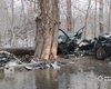В Черновцах легковушка въехала в дерево из-за погоды: погибли три человека (фото)