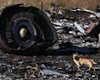 Трибунал по сбитому Боингу: Малайзия рассмотрит план Б