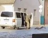Не мають повноважень: у Мукачеві велосипедиста силою заштовхали в бус ТЦК, — Глагола (відео)