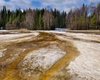 Ситуация за полярным кругом вышла из-под контроля: Сибирь нагрелась до рекордной температуры