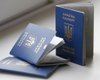 Украинское гражданство в 2017 году уже получили более 7 тысяч человек