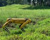 В Сингапуре робот-собака от Boston Dynamics будет патрулировать парки на время пандемии