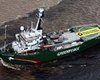 Активистам Greenpeace грозит до 15 лет лишения свободы