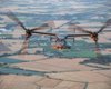 В Японии упал в море американский конвертоплан Osprey с 8 бойцами на борту