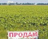 Две трети украинцев проголосовали бы против открытия рынка земли на референдуме,  – опрос