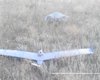 Пограничники сбили российский беспилотник