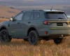 Новый Ford Everest способен буксировать 3,5 тонны: представлена версия Wolftrak