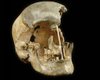 Ученые раскрыли секрет геномов самых древних Homo Sapiens