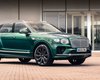 Провоцирует рак: в Европе могут запретить использовать хром в отделке автомобилей